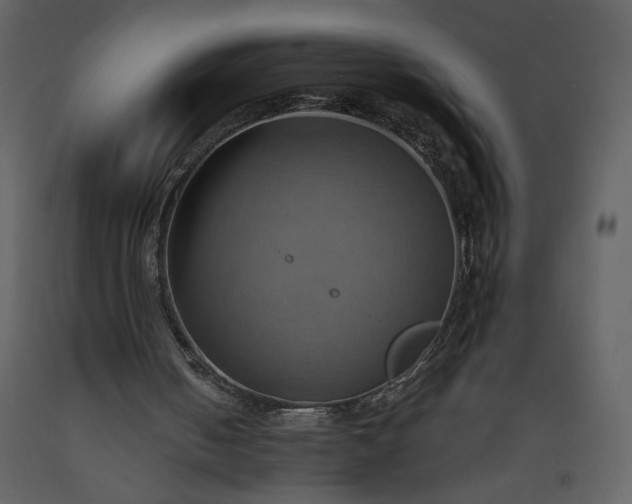 X0000093610050200710221615
