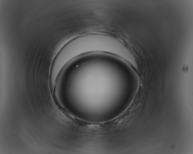 X0000093610052200710221615