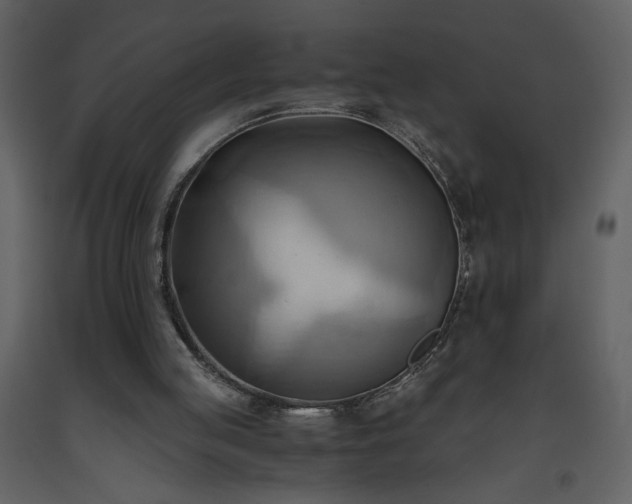 X0000093610053200710221615
