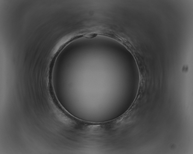 X0000093610054200710221615