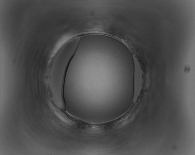 X0000093610056200710221615