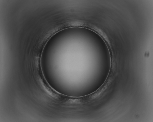 X0000093610057200710221615
