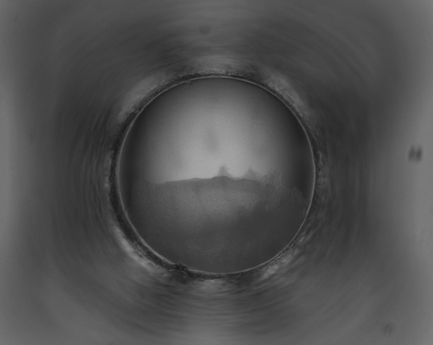X0000093610058200710221615