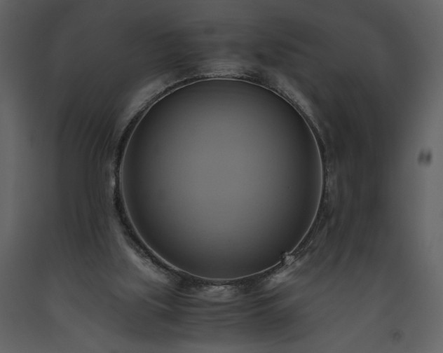 X0000093610059200710221615