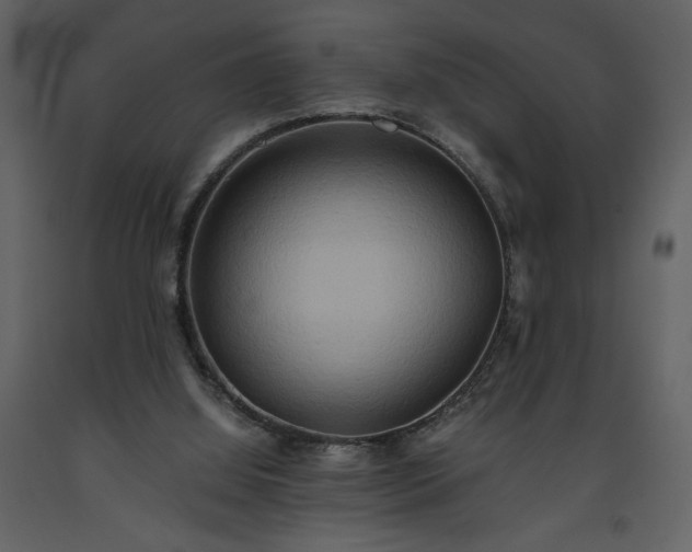 X0000093610060200710221615
