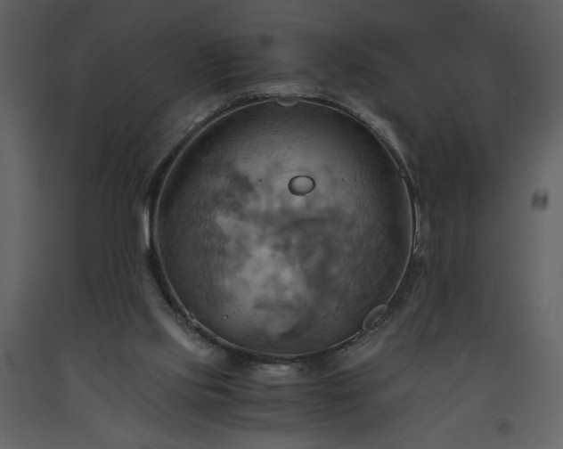 X0000093610061200710221615