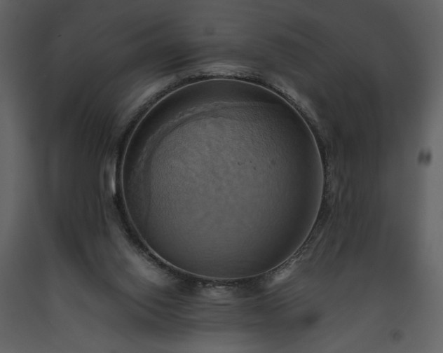 X0000093610062200710221615