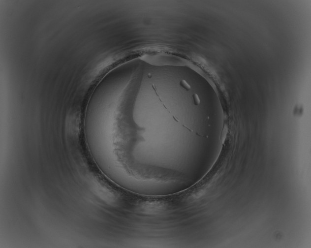 X0000093610063200710221615