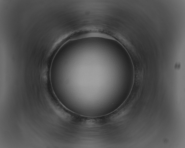 X0000093610064200710221615