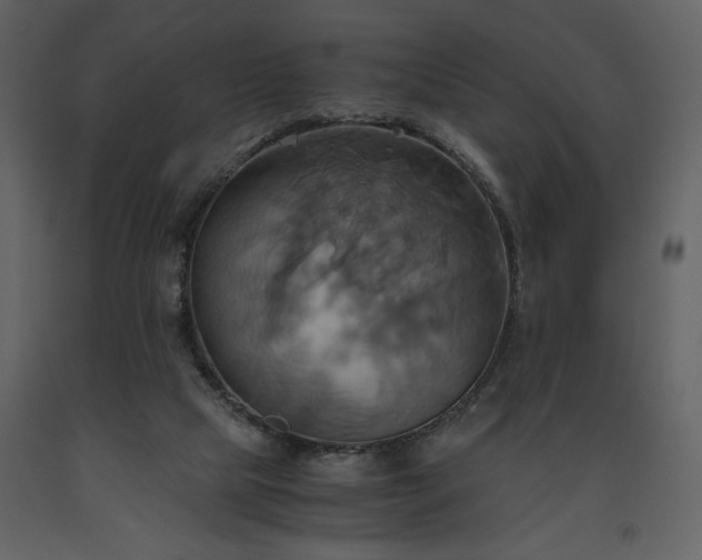 X0000093610065200710221615