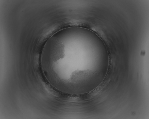 X0000093610066200710221615