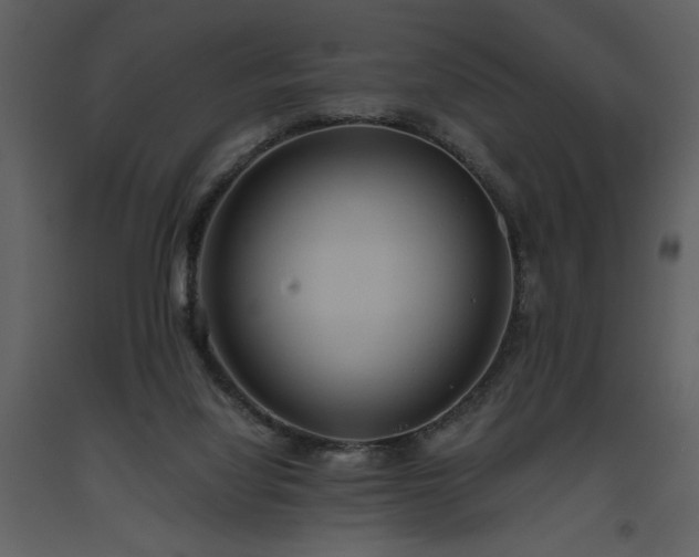 X0000093610068200710221615