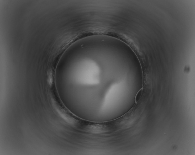 X0000093610069200710221615