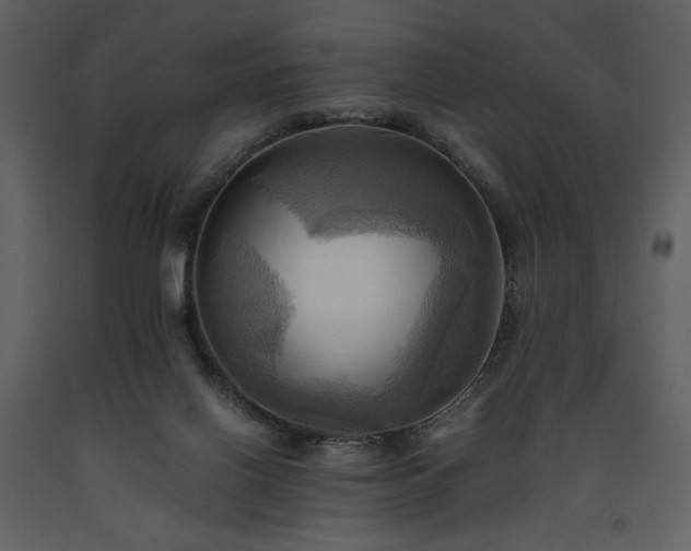 X0000093610070200710221615