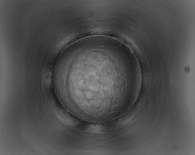 X0000093610071200710221615