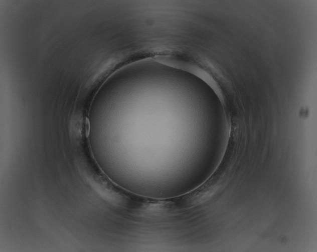 X0000093610072200710221615