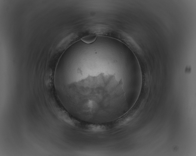X0000093610073200710221615