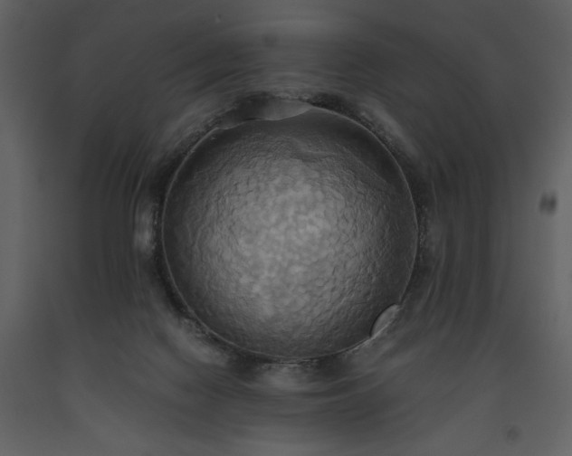 X0000093610074200710221615