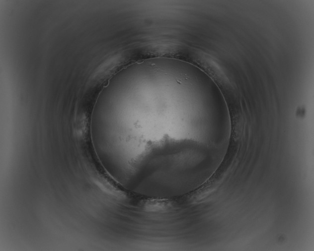 X0000093610077200710221615