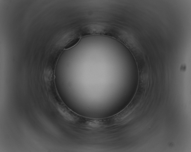 X0000093610079200710221615