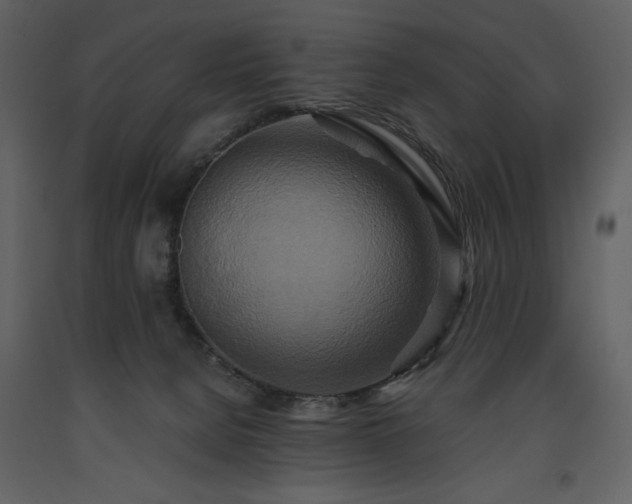 X0000093610080200710221615