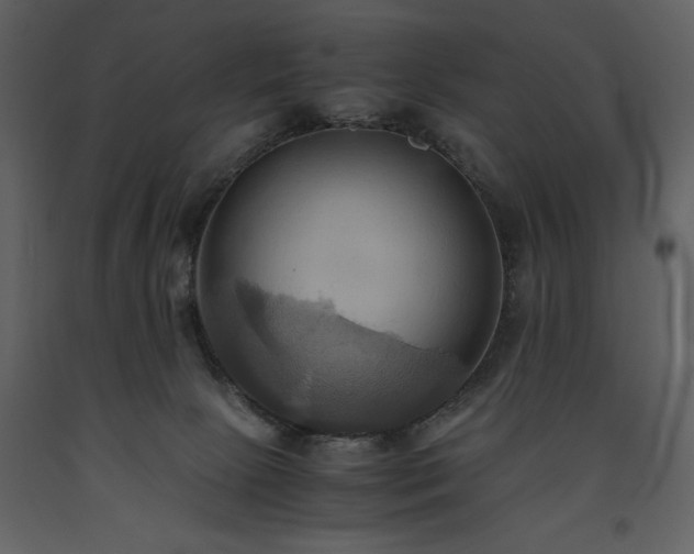 X0000093610081200710221616