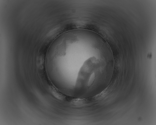 X0000093610082200710221616