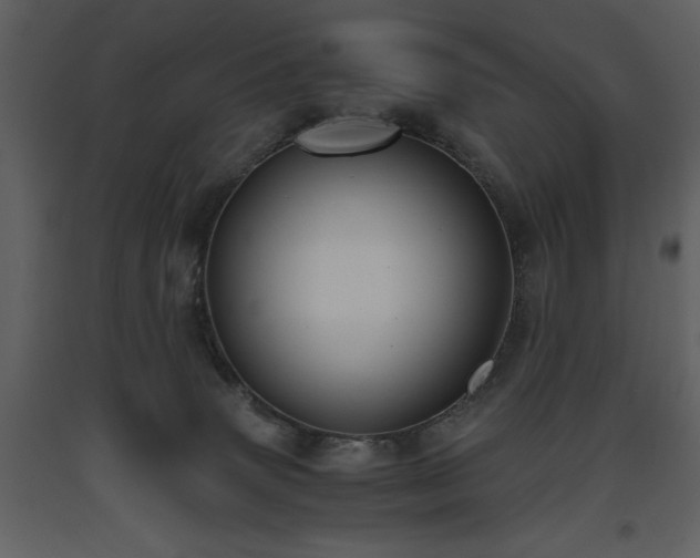 X0000093610083200710221616