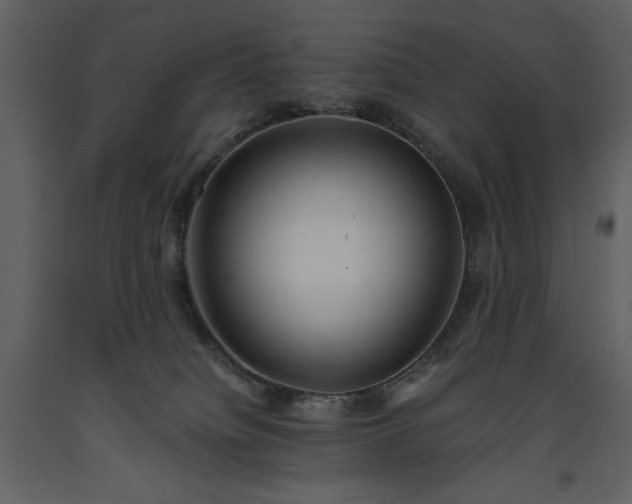 X0000093610084200710221616