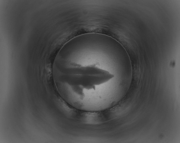 X0000093610085200710221616