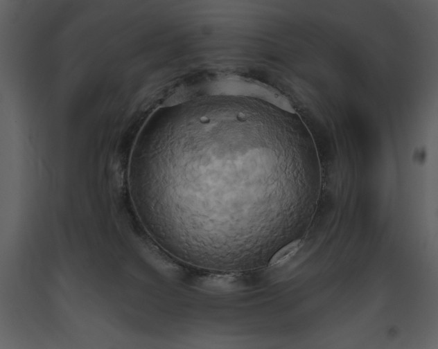 X0000093610086200710221616