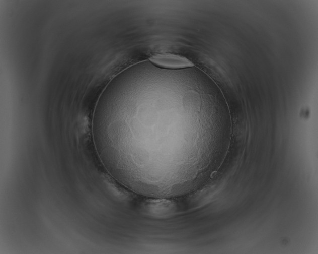X0000093610087200710221616