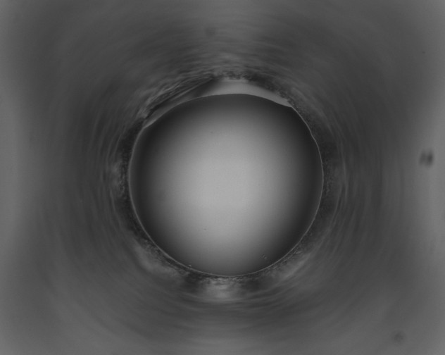 X0000093610088200710221616