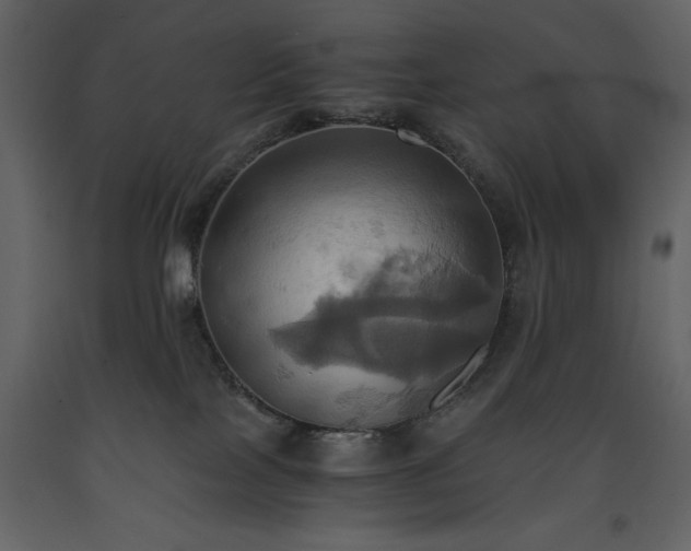 X0000093610089200710221616