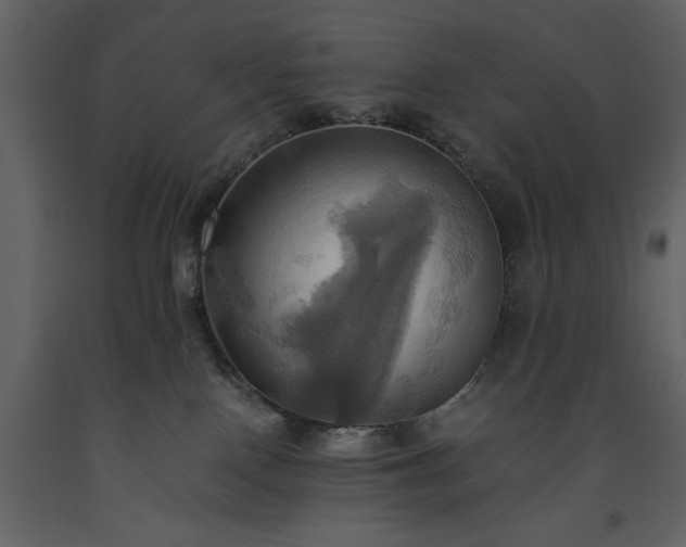 X0000093610090200710221616