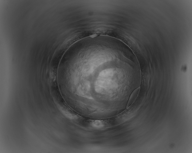 X0000093610091200710221616