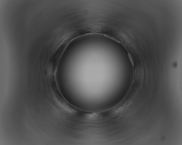 X0000093610092200710221616
