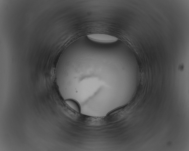 X0000093610093200710221616