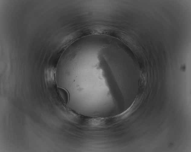 X0000093610094200710221616
