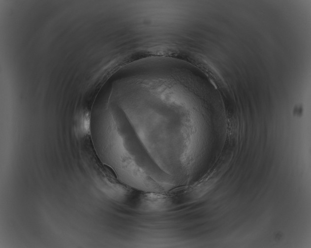 X0000093610095200710221616
