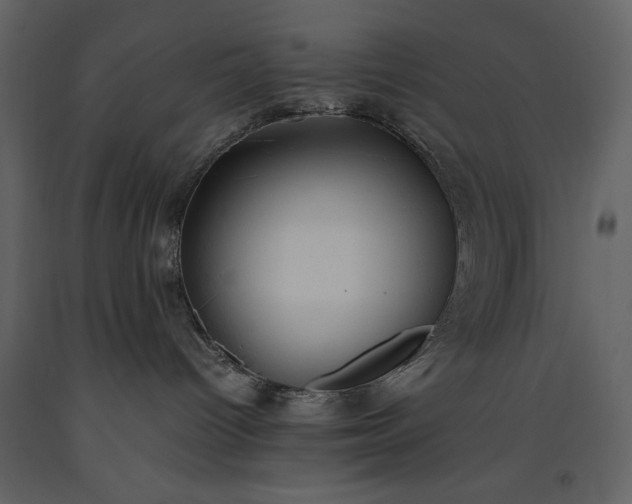 X0000093610096200710221616