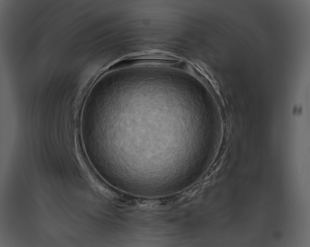 X0000093610097200710221615