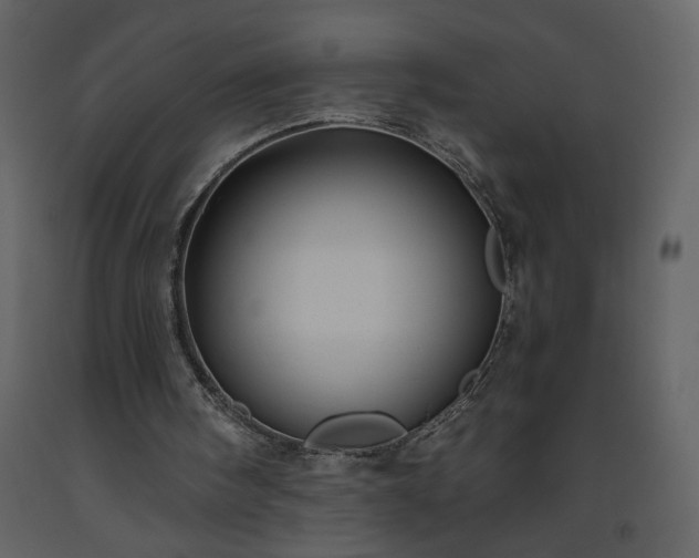 X0000093610098200710221615