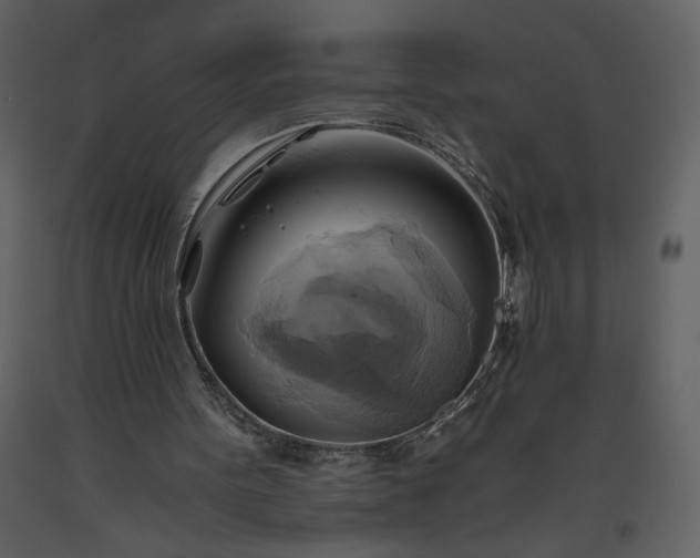 X0000093610099200710221615