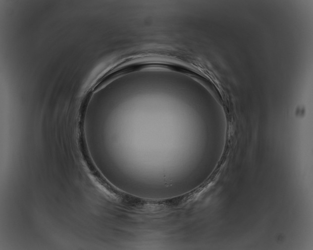 X0000093610101200710221615