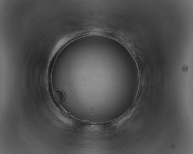 X0000093610102200710221615