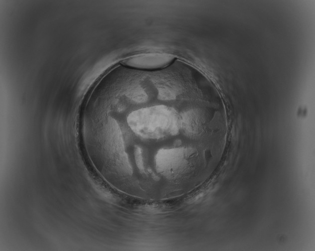 X0000093610103200710221615