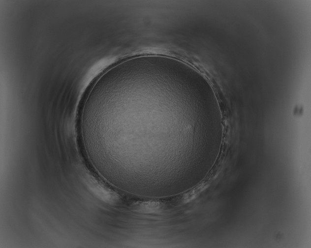 X0000093610104200710221615