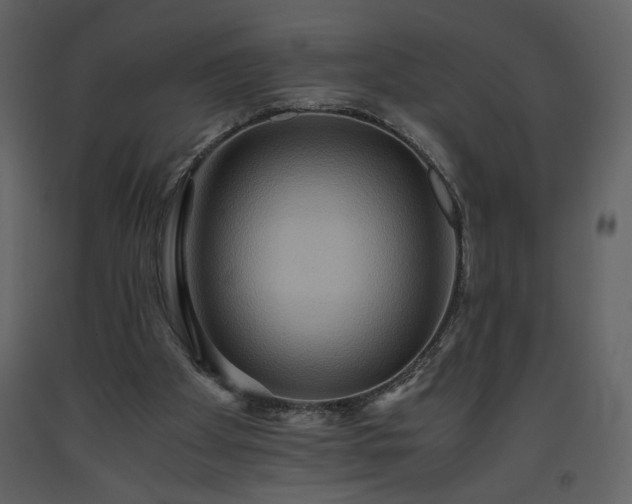 X0000093610105200710221615