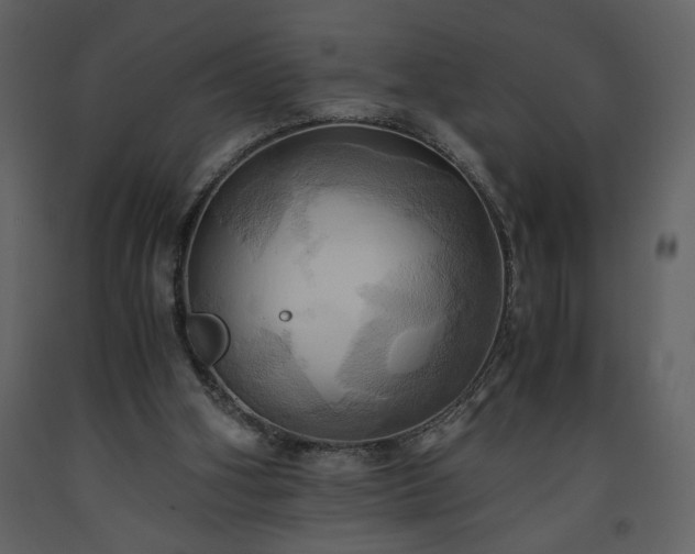 X0000093610106200710221615